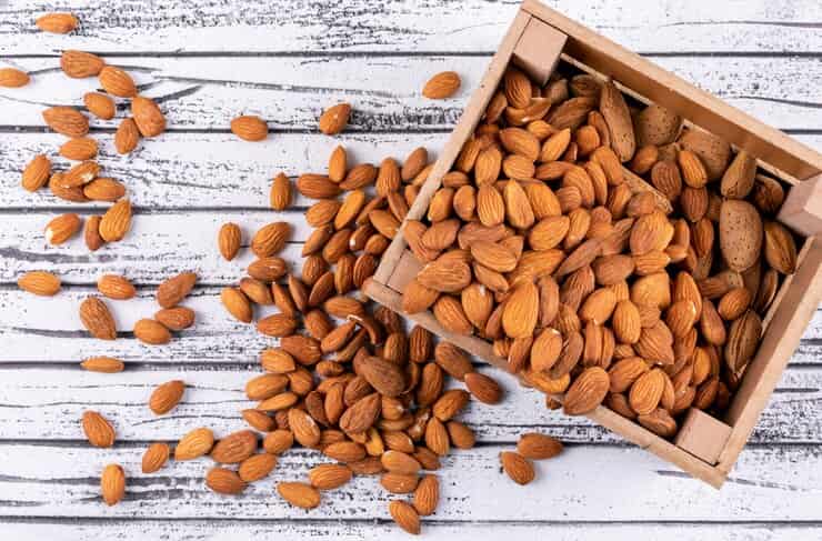 خرید جدید ترین انواع بادام درختی تر